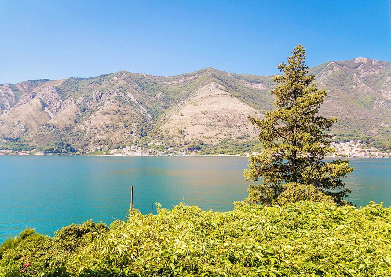 Villa Donkovic Котор Экстерьер фото