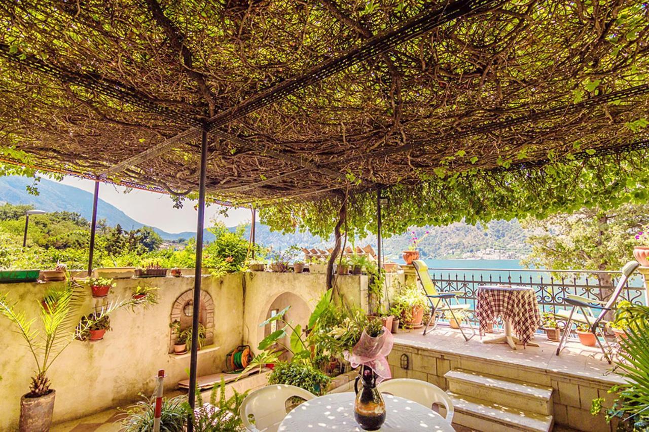 Villa Donkovic Котор Экстерьер фото